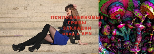 синтетический гашиш Заводоуковск